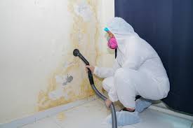 Spanish Springs, NV Mold Removal Company